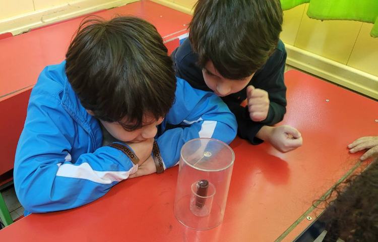 :علوم انجام آزمایش های مختلف، کلاس انگور 3