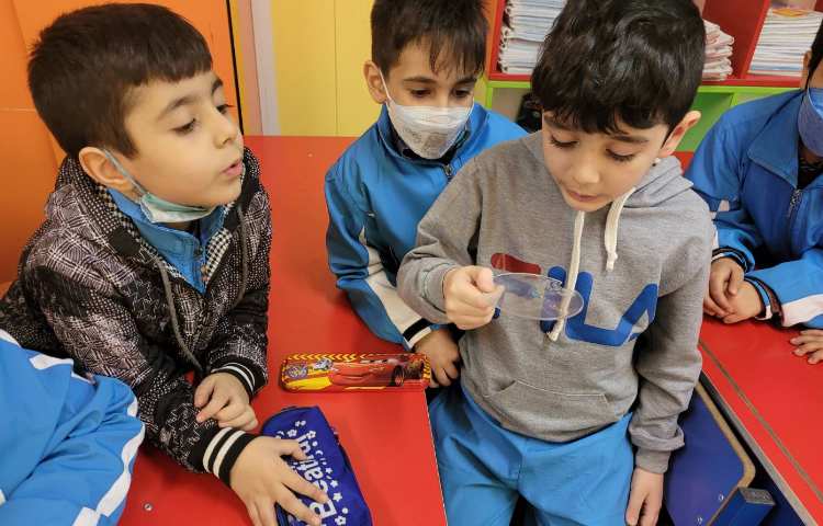 :علوم انجام آزمایش های مختلف، کلاس انگور 4