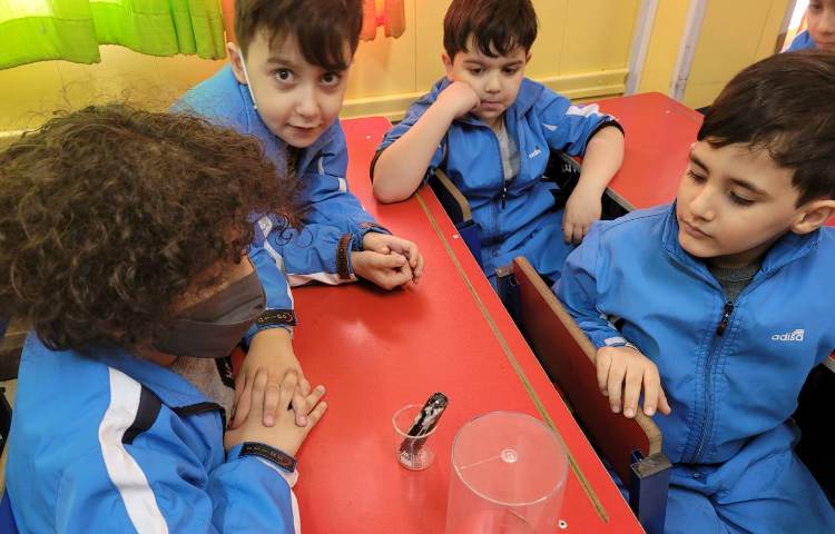 :علوم انجام آزمایش های مختلف، کلاس انگور 5