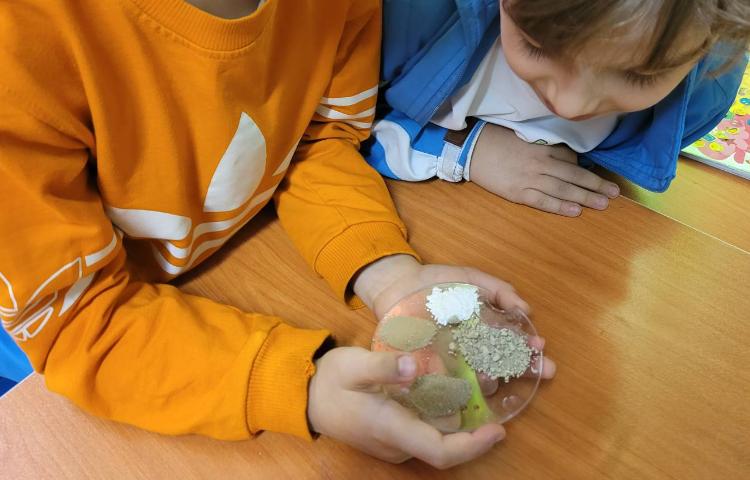 :علوم انجام آزمایش های مختلف، کلاس انگور 6