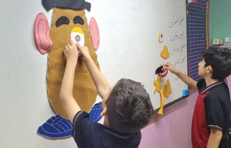 علوم: بازی حواس 1