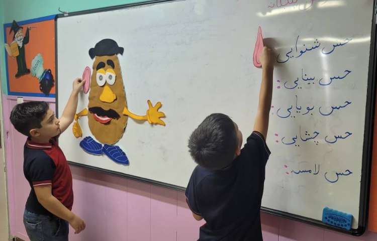 علوم: بازی حواس 2