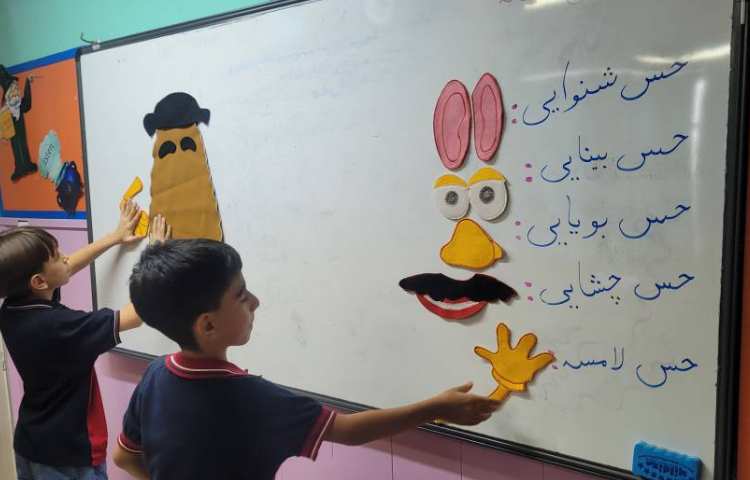 علوم: بازی حواس 3