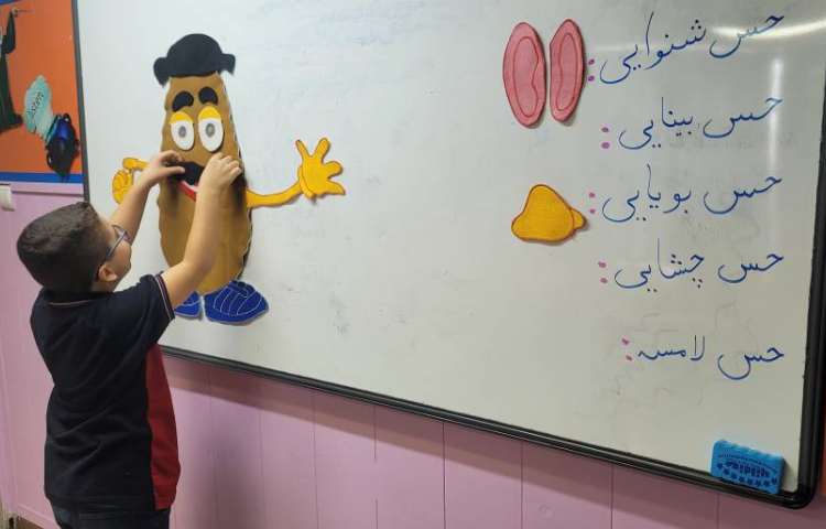 علوم: بازی حواس 4