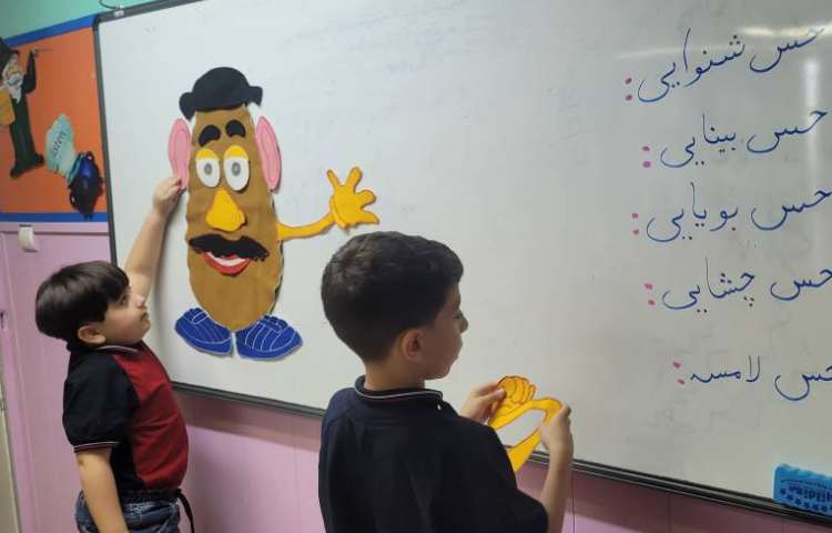 علوم: بازی حواس