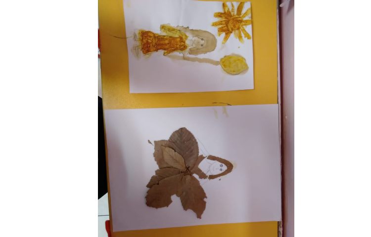 علوم بخش گیاهان 1