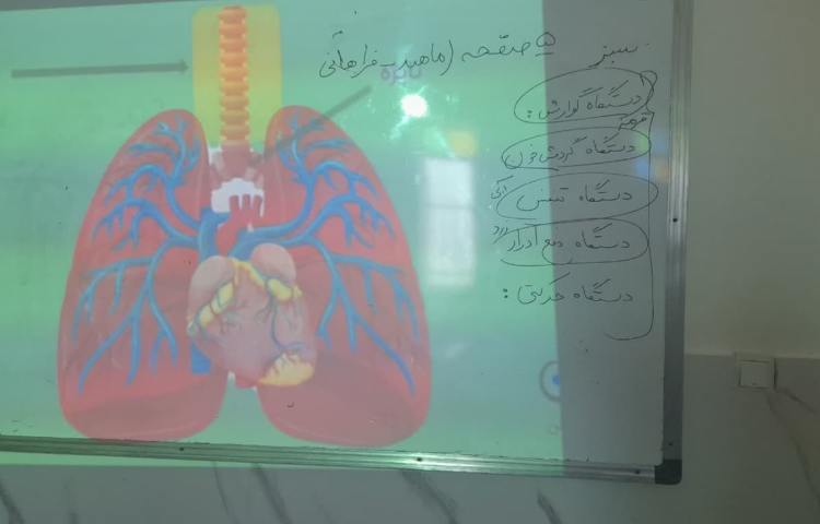 علوم بدن ما 1