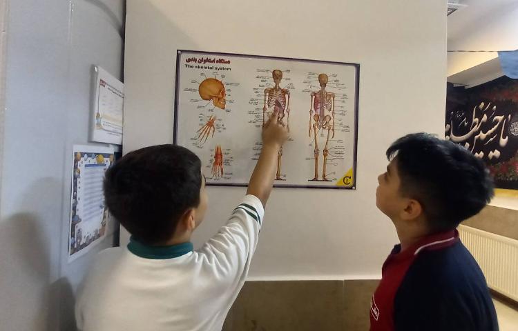 علوم - بدن ما 1