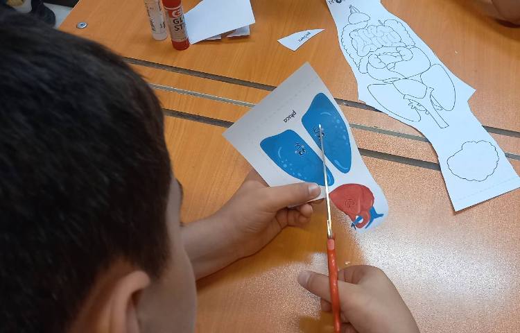 علوم - بدن ما 1