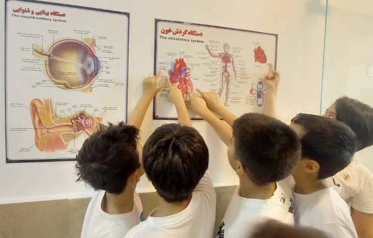 علوم - بدن ما 2