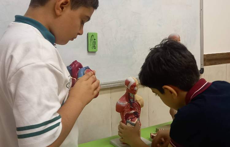 علوم - بدن ما 3