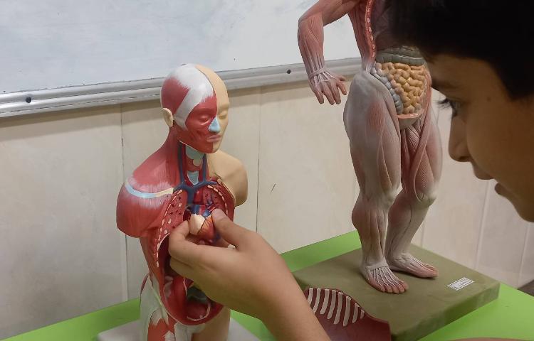 علوم - بدن ما 4