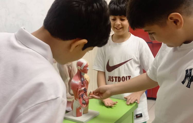 علوم - بدن ما 5