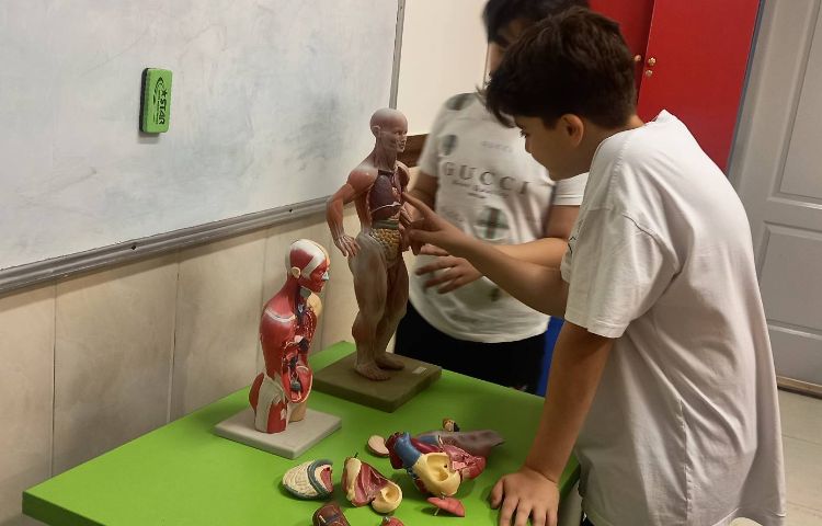 علوم - بدن ما 6