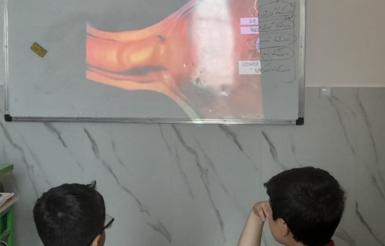 علوم بدن ما