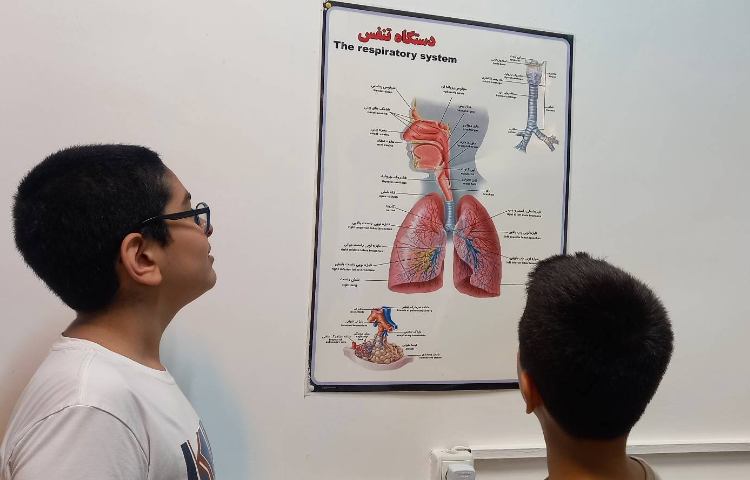 علوم - بدن ما