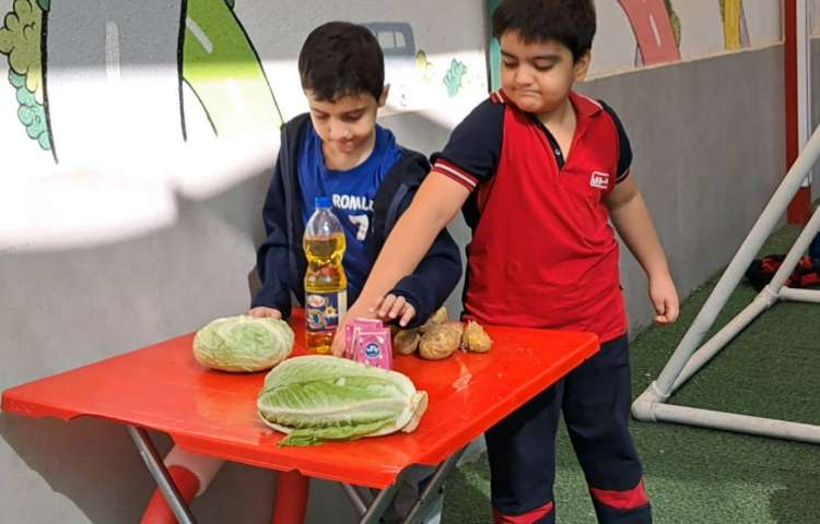 علوم بشقاب سلامت 4