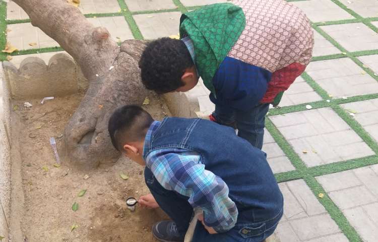 علوم به انگلیسی 1