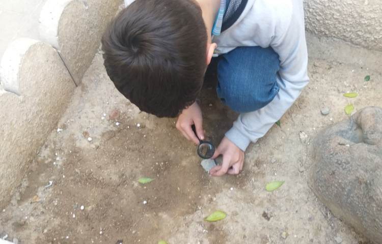 علوم به انگلیسی 2