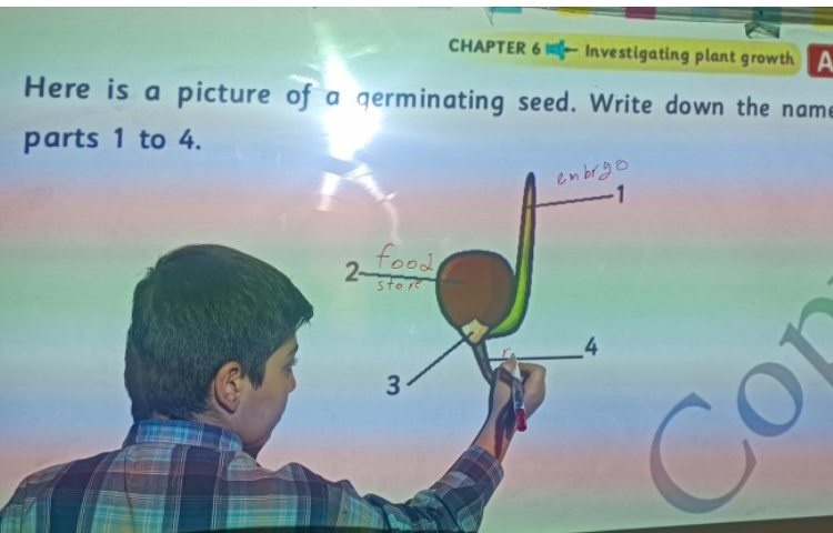 علوم به انگلیسی 2