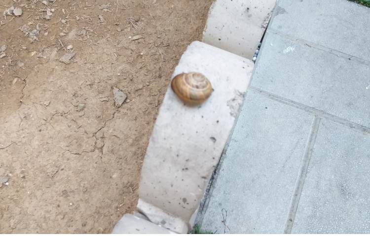 علوم به انگلیسی 4