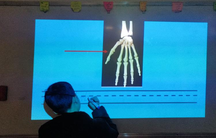 علوم به زبان انگلبسی 3