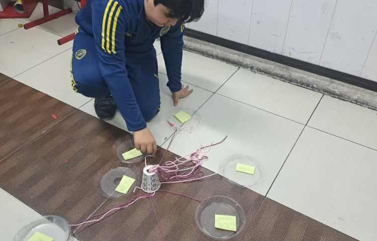 علوم به زبان انگلیسی 1