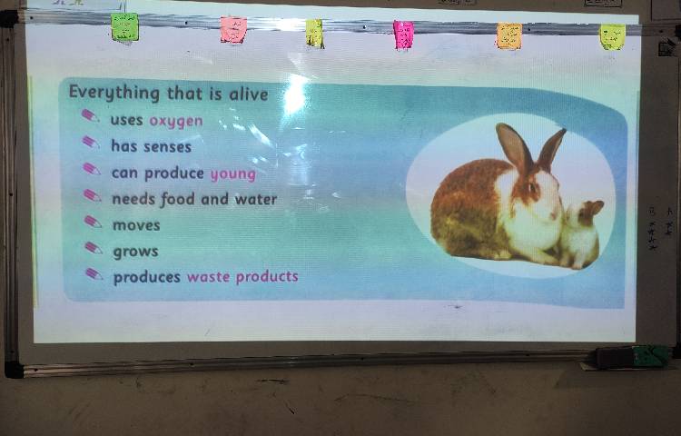 علوم به زبان انگلیسی 1