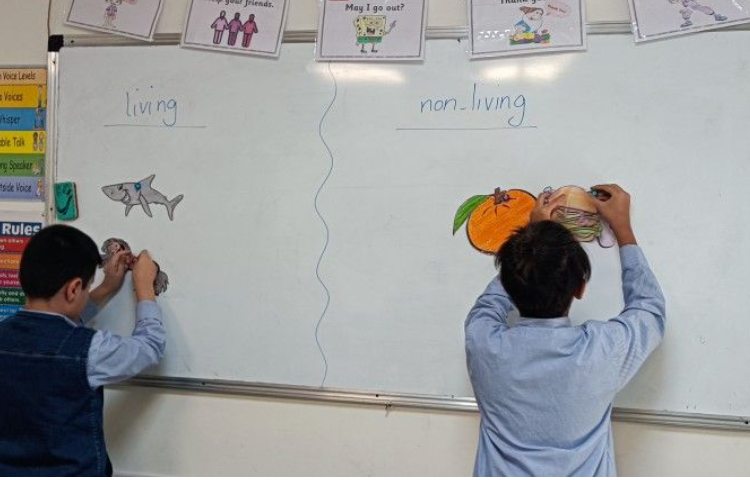 علوم به زبان انگلیسی 3