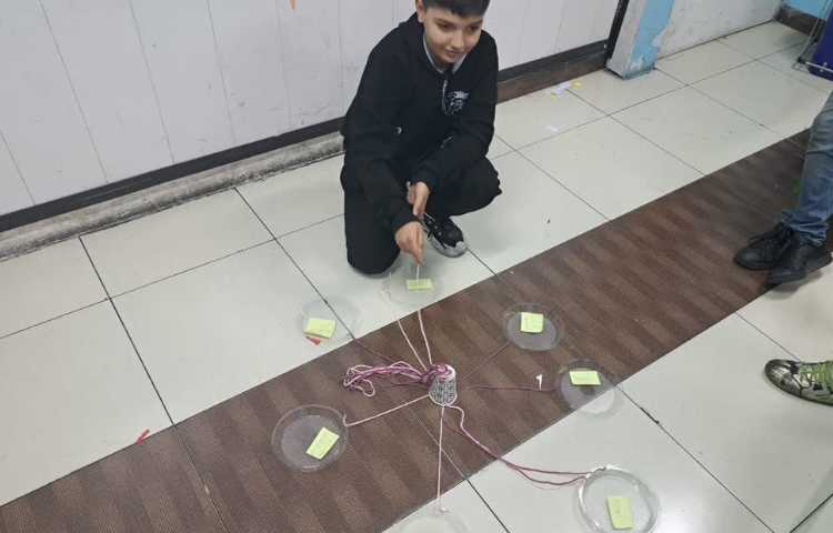 علوم به زبان انگلیسی 4