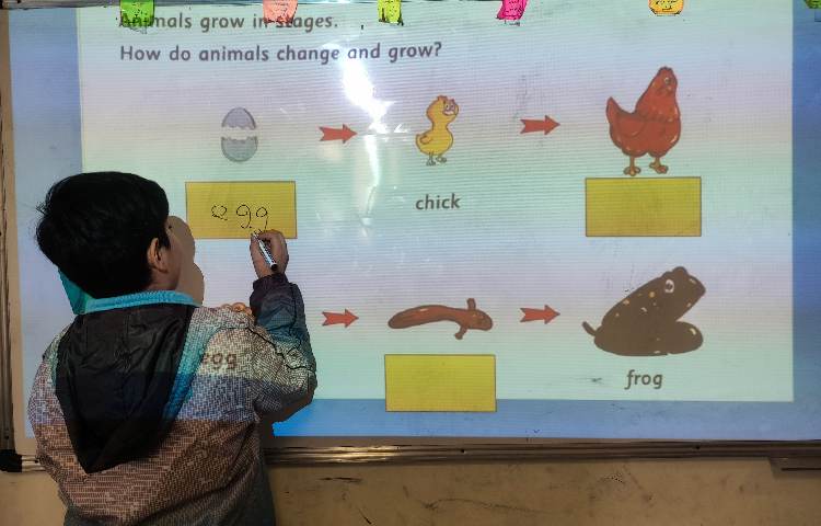 علوم به زبان انگلیسی