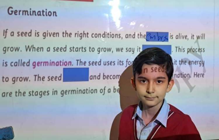 علوم به زبان انگلیسی