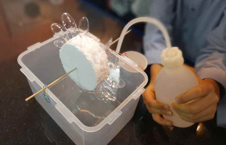 علوم ، تبادل انرژی 1