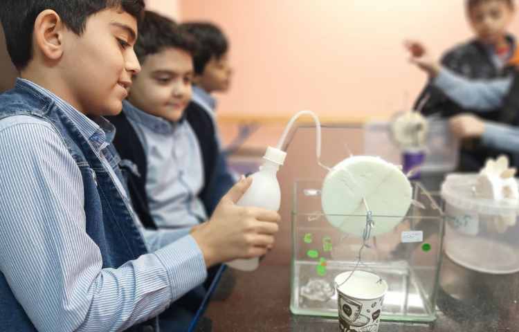 علوم ، تبادل انرژی 2