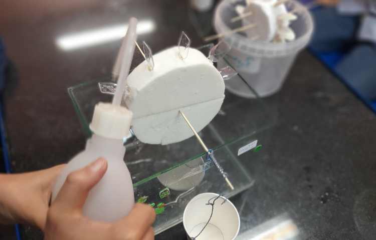 علوم ، تبادل انرژی 3