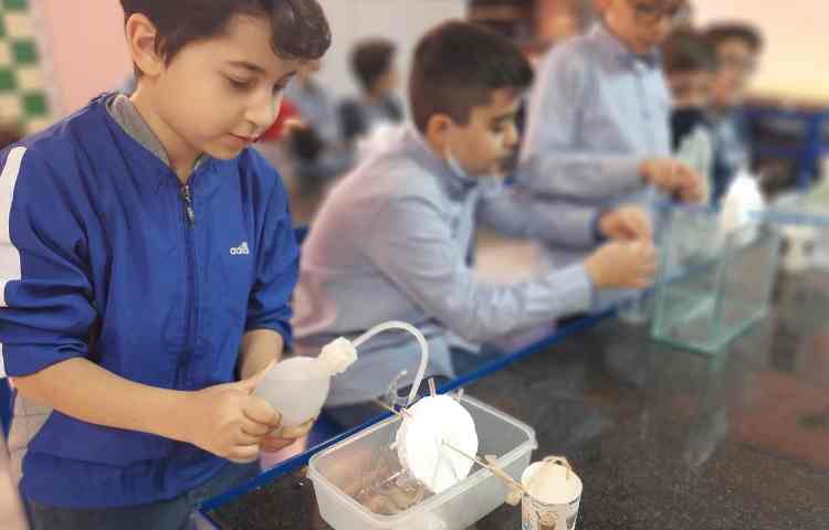 علوم ، تبادل انرژی 5