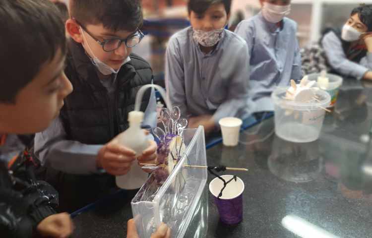 علوم ، تبادل انرژی 8