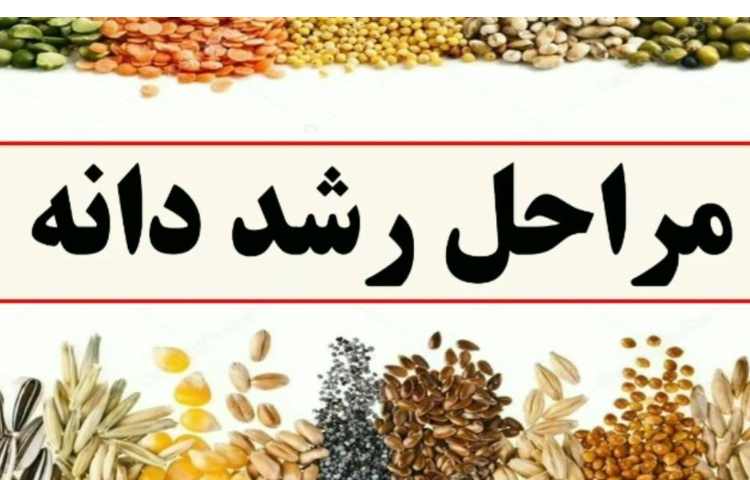 علوم تدریس صفحه 66 و 67 کتاب