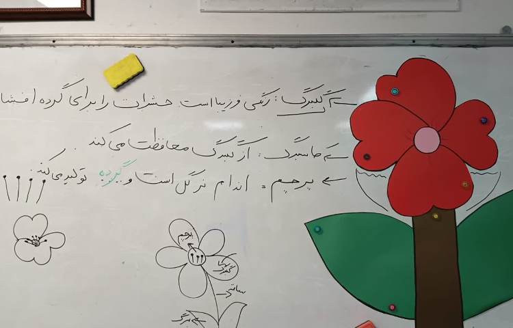 علوم تدریس گل و اجزای آن