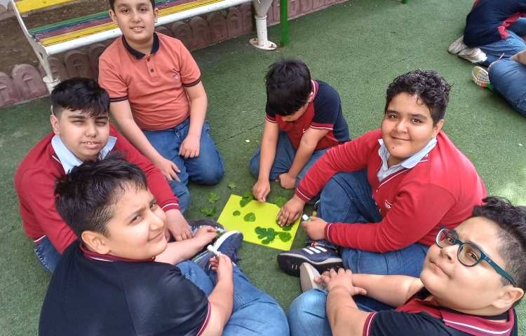 علوم تدریس گوناگونی گیاهان و تفاوت برگ ها 2