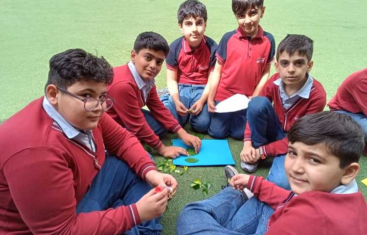 علوم تدریس گوناگونی گیاهان و تفاوت برگ ها 4