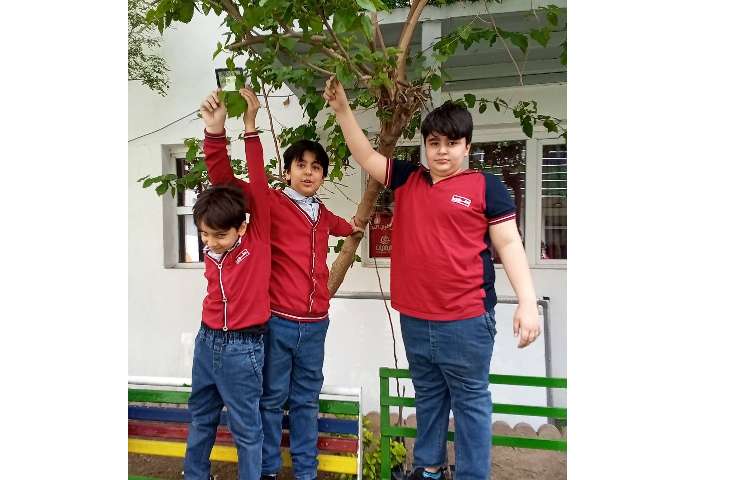 علوم تدریس گوناگونی گیاهان و تفاوت برگ ها 5