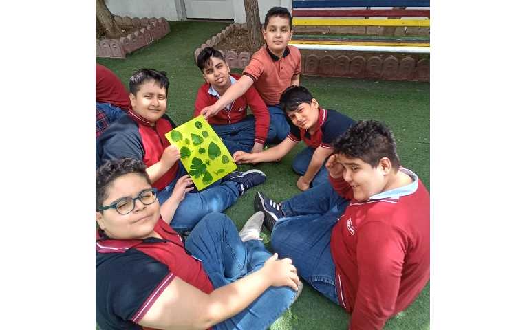 علوم تدریس گوناگونی گیاهان و تفاوت برگ ها