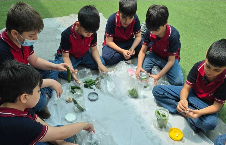 علوم - تهیه خیارشور 1