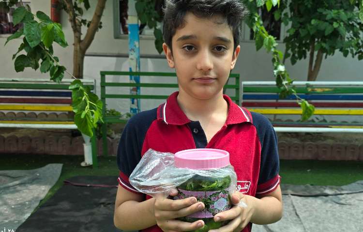 علوم - تهیه خیارشور 10