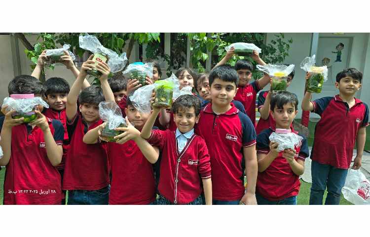 علوم - تهیه خیارشور 11