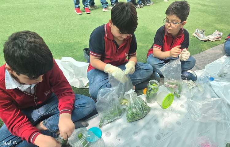 علوم - تهیه خیارشور 2