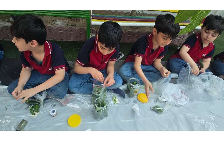 علوم - تهیه خیارشور 3