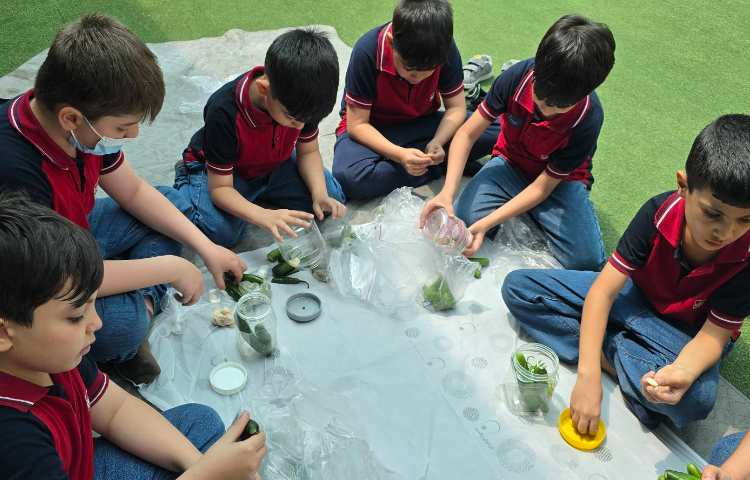 علوم - تهیه خیارشور 4