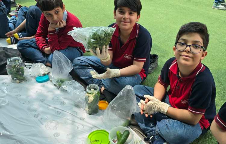 علوم - تهیه خیارشور 5